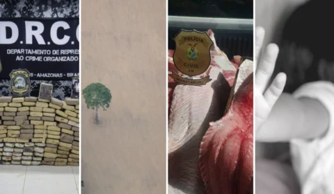 Amazônia sofre com crimes de prostituição infantil, desmatamento, tráfico de drogas e pessoas