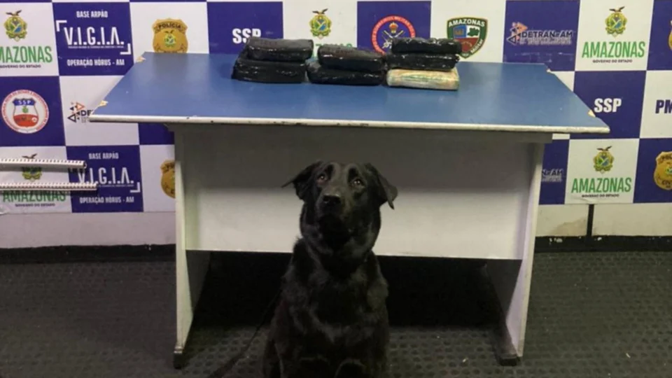 No AM, mais de 6 kg de drogas são apreendidas em embarcação no Rio Solimões