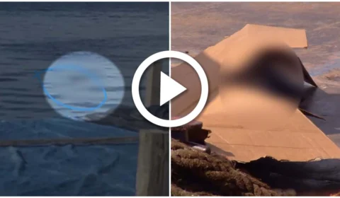 VÍDEO: corpo é encontrado boiando em porto do Centro de Manaus