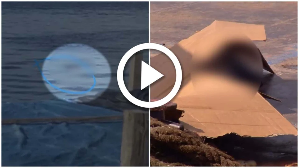 VÍDEO: corpo é encontrado boiando em porto do Centro de Manaus