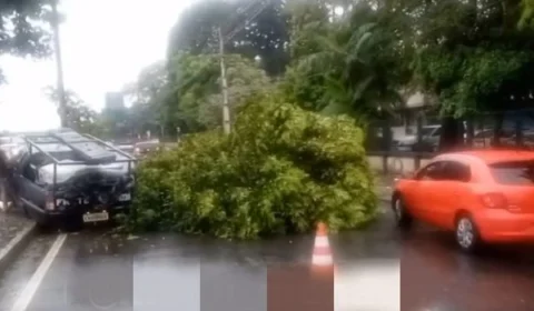 Carro é atingido por caminhão e derruba árvore na Avenida André Araújo, em Manaus