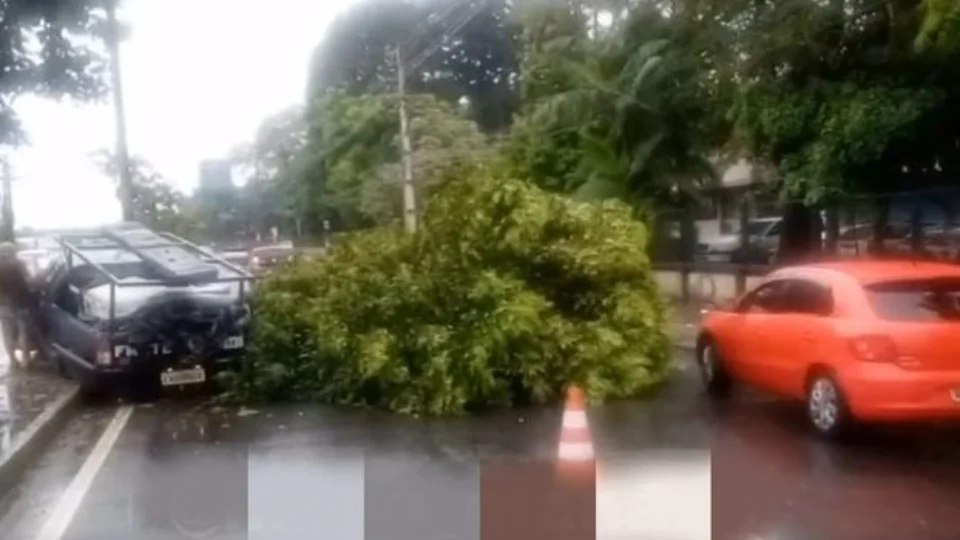 Carro é atingido por caminhão e derruba árvore na Avenida André Araújo, em Manaus