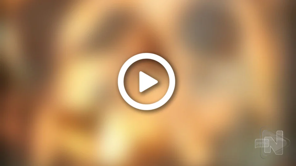 VÍDEO: ossada humana é encontrada em área de mata no interior do AM