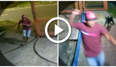 VÍDEO: homem armado com facão ataca agente de portaria na Zona Centro Oeste de Manaus