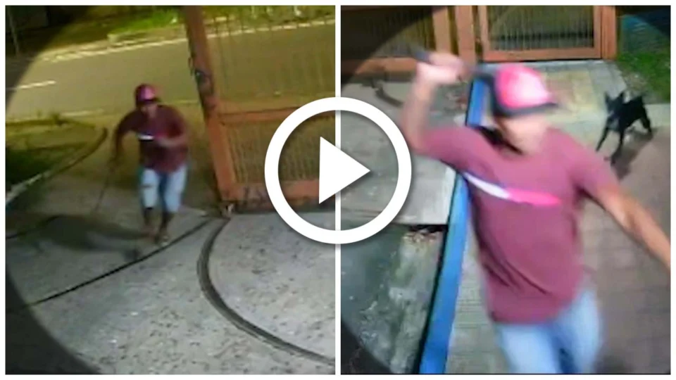 VÍDEO: homem armado com facão ataca agente de portaria na Zona Centro Oeste de Manaus