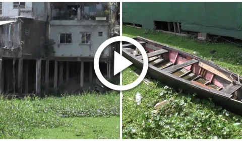 VÍDEO: corpo do sexo masculino é encontrado boiando no Rio Negro, na Zona Sul de Manaus