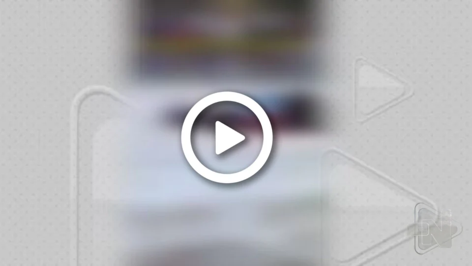 VÍDEO: cavalo fica em estado grave após ser forçado a participar de vaquejada no AM