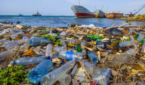 Pesquisa revela que cada brasileiro descarta, por ano, até 16 kg de plástico no mar