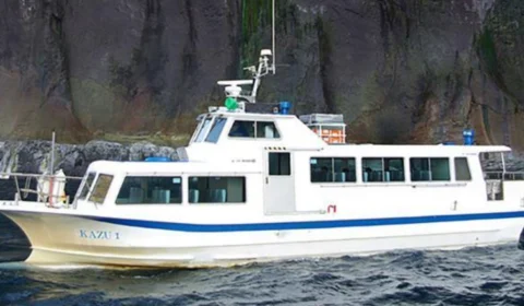 Navio de turismo com 26 pessoas a bordo náufraga no Japão