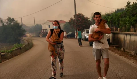 Onda de calor extremo: mortes passam de mil na Europa