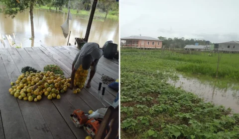 Careiro da Várzea, no AM, decreta situação de emergência por conta da cheia do Rio Solimões