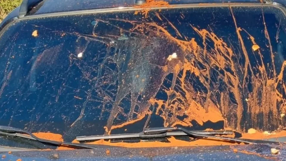 Carro de juiz que autorizou prisão de Milton Ribeiro é atingido por fezes de animais, ovos e terra, em Brasília