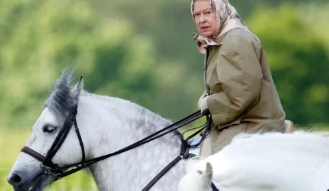 Rainha Elizabeth contraria orientações médicas e volta a cavalgar aos 96 anos