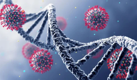 São Paulo registra primeiros casos da subvariante ômicron XQ no Brasil