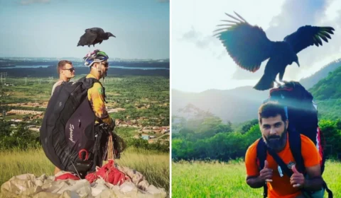 Homem acha filhote de urubu em lixeira e decide criá-lo como filho em Fortaleza