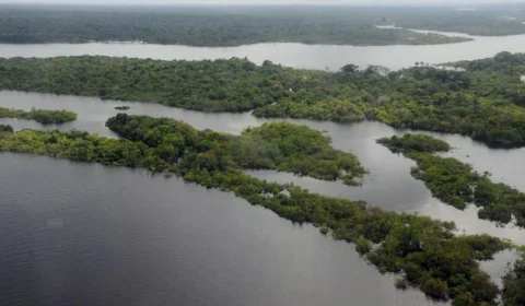 Força-Tarefa em Defesa da Amazônia permanecerá mais um ano na região