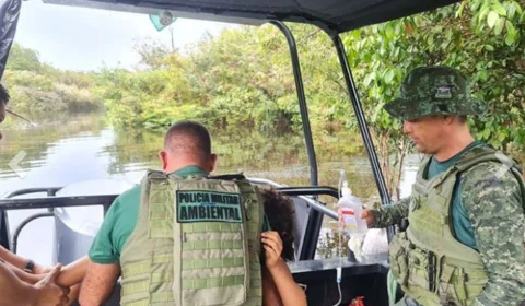 Criança de 10 anos é picada por cobra venenosa, no interior do Amazonas