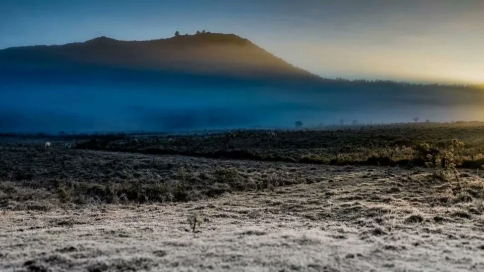 Santa Catarina registra primeira neve de 2022