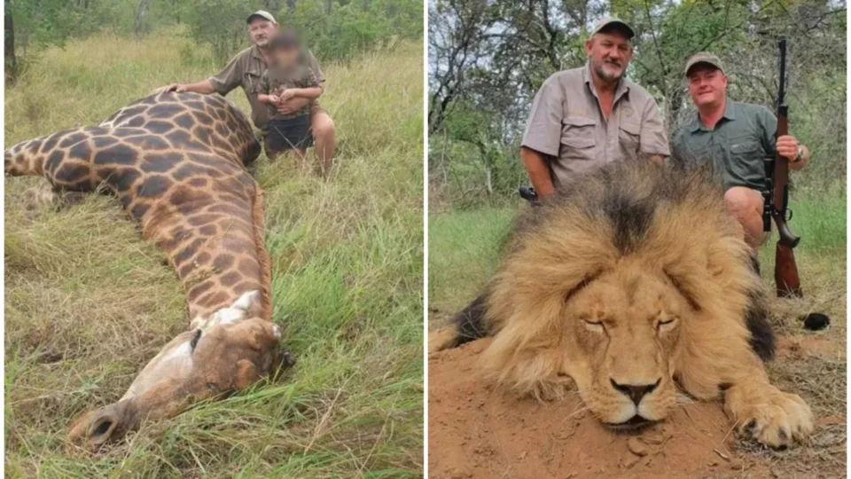 Caçador é encontrado morto com marcas de tiro na África do Sul