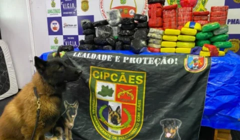 Mais de 130 quilos de cocaína são encontrados em parede falsa de embarcação no interior do Amazonas