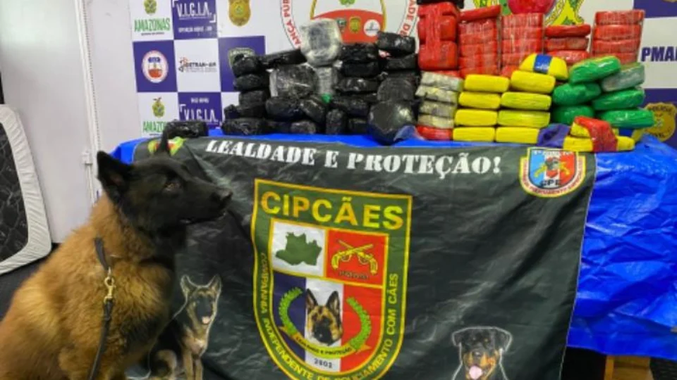 Mais de 130 quilos de cocaína são encontrados em parede falsa de embarcação no interior do Amazonas