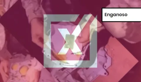 Polícia Federal nega que ONGs que atuam na Amazônia transportaram ouro ilegalmente como afirma publicação