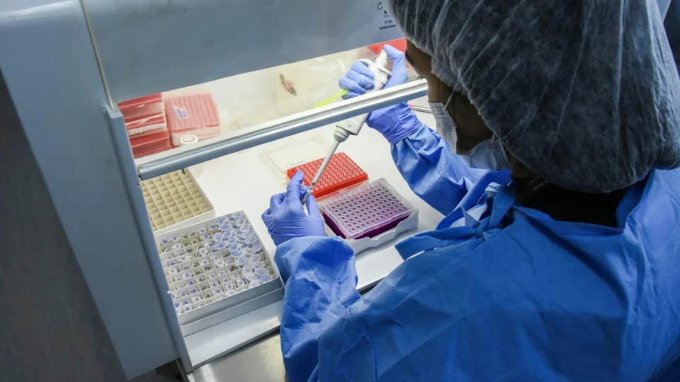 Monkeypox: Amazonas tem 14 casos suspeitos de varíola dos macacos