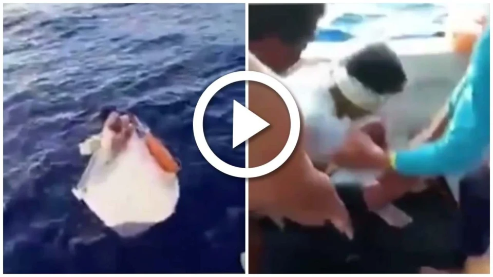 VÍDEO: paraense fica à deriva dentro de freezer por dias em alto-mar no Suriname