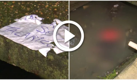 VÍDEO: homem é arrastado e morto a tiros em córrego da Zona Oeste de Manaus