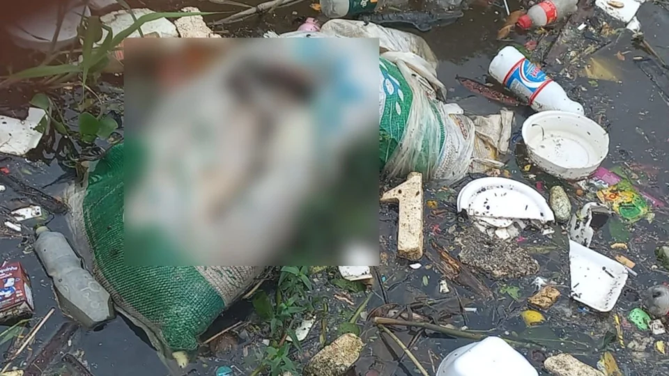 Corpo em estado de decomposição é encontrado dentro de saco de fibra, em Manaus