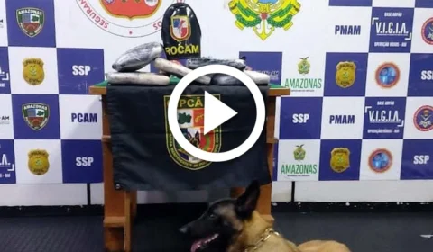 VÍDEO: drogas são encontradas em lixeira e caixa d’água de embarcação no interior do Amazonas