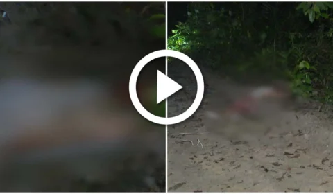 VÍDEO: homem não identificado é morto a tiros em área de mata da Zona Norte de Manaus