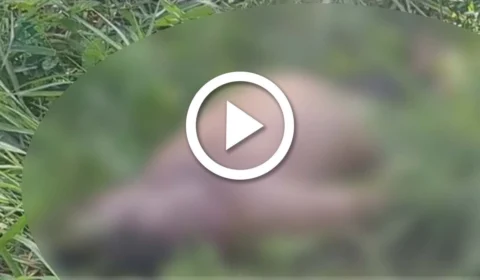 VÍDEO: corpo de homem é encontrado com pés e mãos amarrados e sinais de tortura na Zona Oeste em Manaus