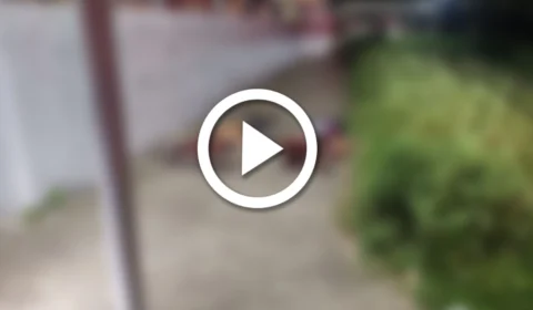 Jovens são assassinados com tiros na cabeça nas últimas horas em Manaus