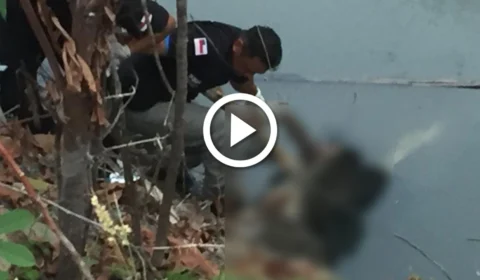Vídeo: corpo é encontrado em igarapé do São Jorge com perfurações de arma branca, em Manaus