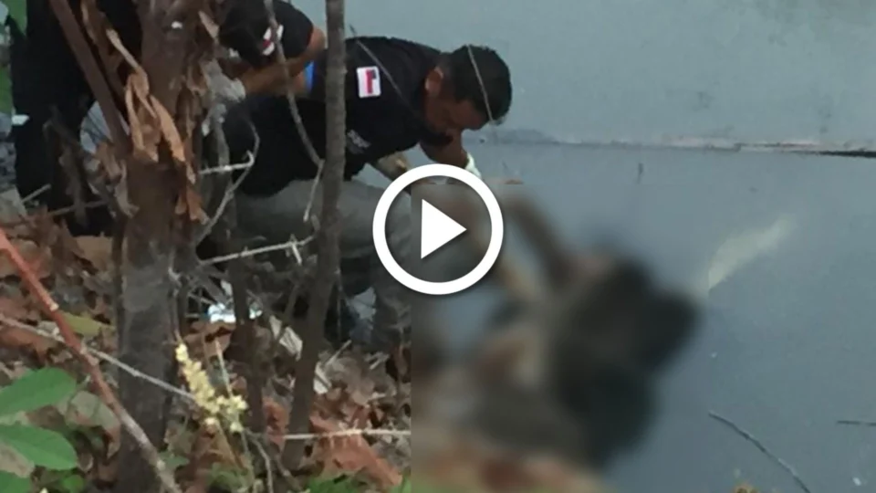 Vídeo: corpo é encontrado em igarapé do São Jorge com perfurações de arma branca, em Manaus