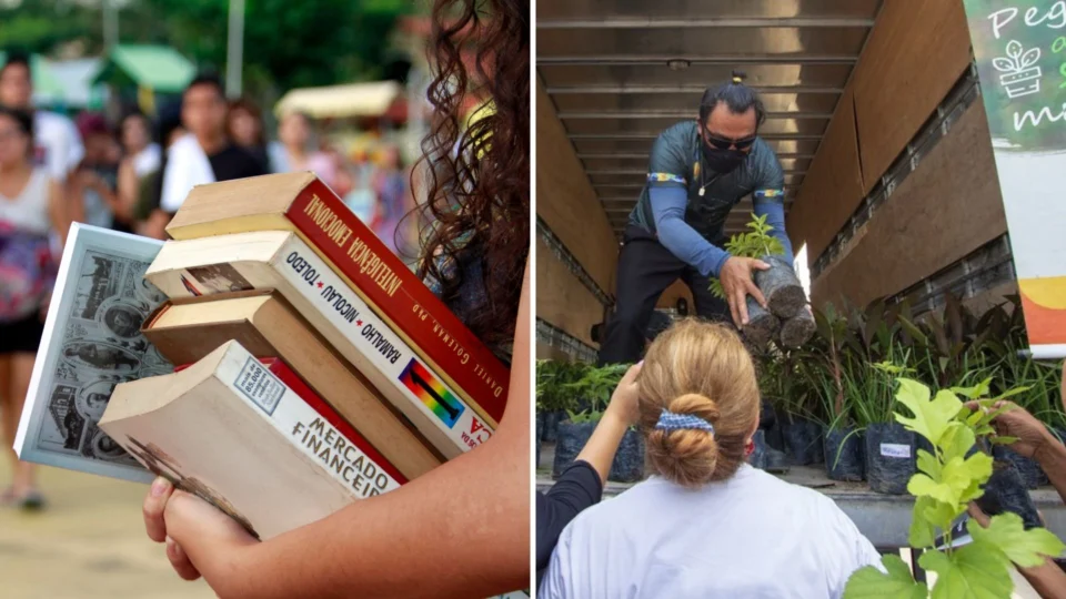 Em Manaus, ação ambiental vai arrecadar livros e doar mudas de plantas no bairro Alvorada 3