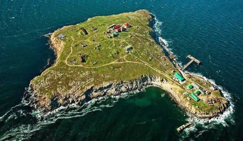 Rússia anuncia retirada da Ilha das Serpentes, símbolo da resistência da Ucrânia