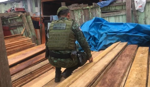 Batalhão Ambiental apreende madeira ilegal em depósito clandestino em Manaus