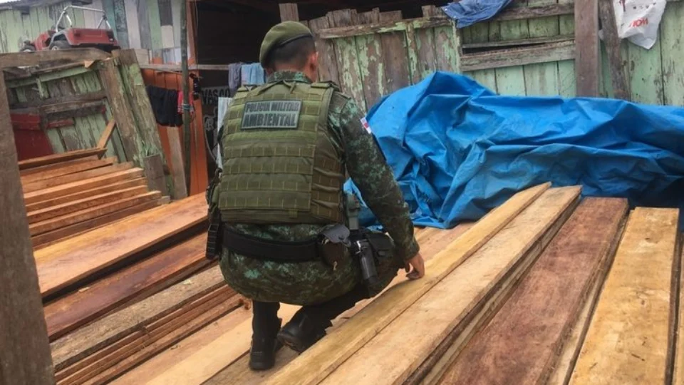 Batalhão Ambiental apreende madeira ilegal em depósito clandestino em Manaus