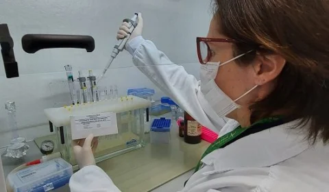 Monkeypox: sobe para 22 número de infectados por varíola dos macacos no Amazonas