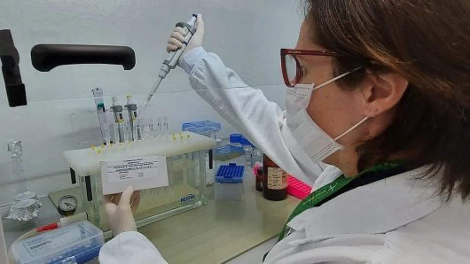 Monkeypox: sobe para 22 número de infectados por varíola dos macacos no Amazonas