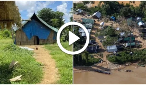 VÍDEO: menina de 12 anos foi estuprada e morta por garimpeiros em Roraima