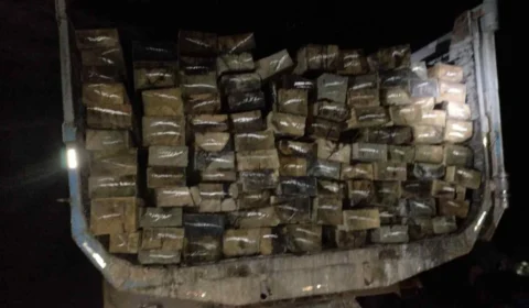 Homem é preso com carga de madeira ilegal na rodovia Manoel Urbano, em Manacapuru-AM