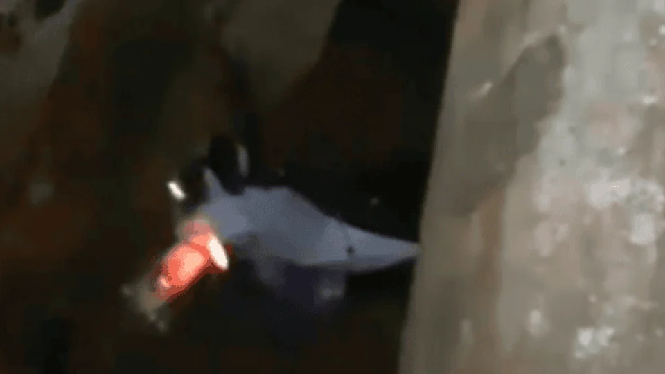 Motociclista cai em bueiro de mais de dois metros em rodovia do Pará