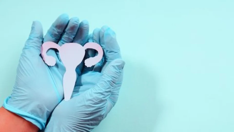 Conheça semelhanças e diferenças entre endometriose e adenomiose