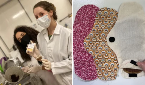 Jovens brasileiras criam absorvente biodegradável de R$ 0,02 e disputam final de prêmio na Suécia