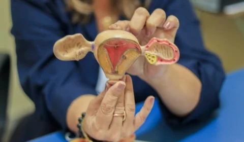 Projeto assegura autonomia da mulher na escolha de contraceptivos