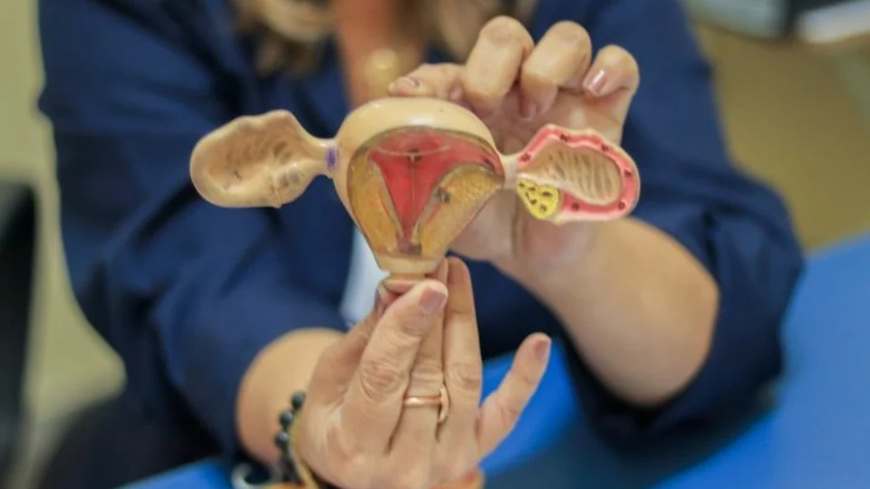 Projeto assegura autonomia da mulher na escolha de contraceptivos