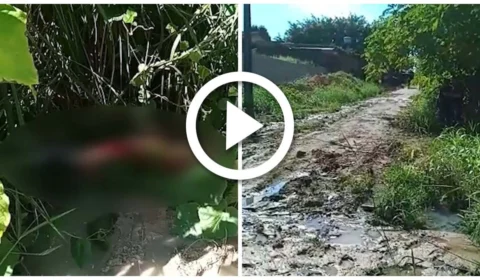 VÍDEO: corpo é encontrado com perfurações em área de mata na Zona Norte de Manaus